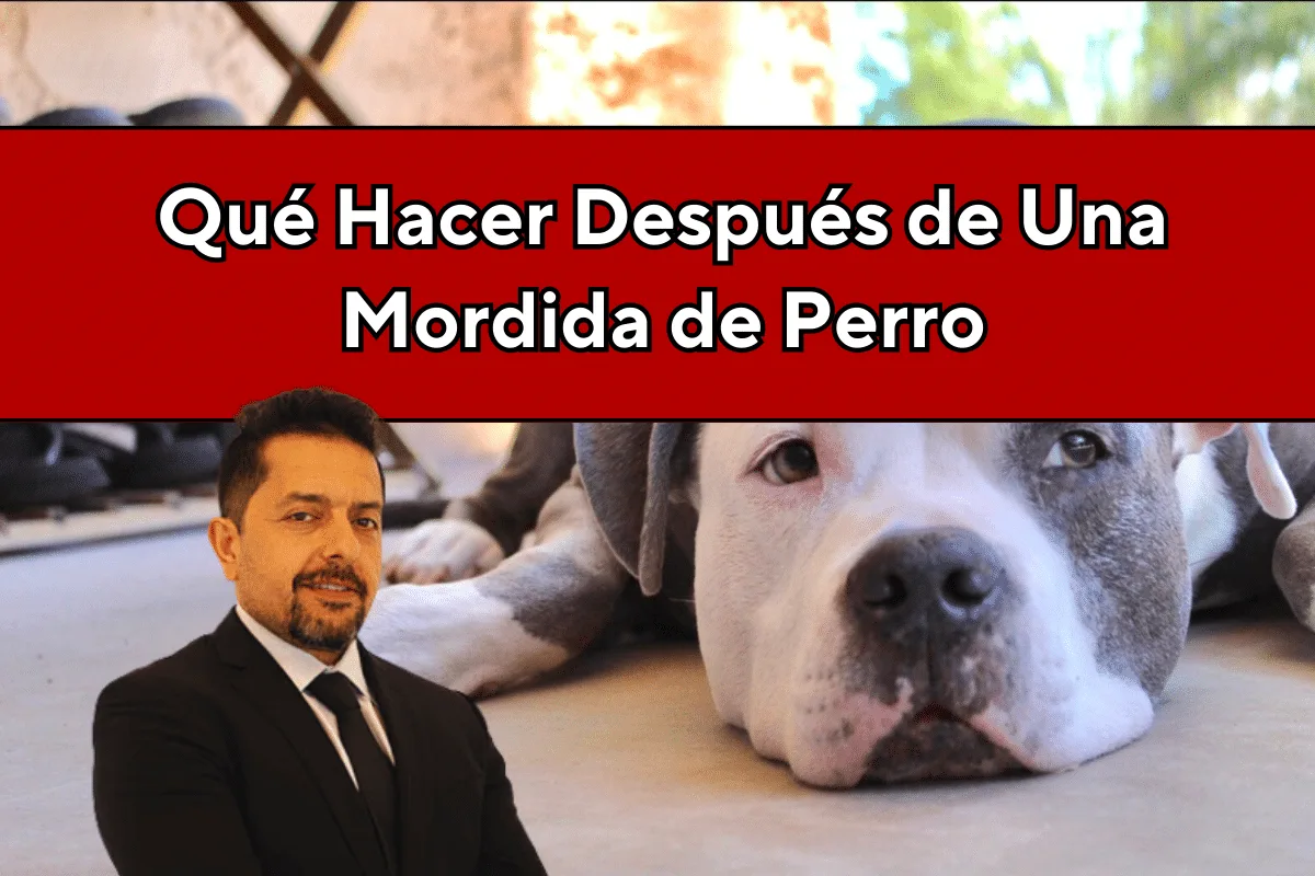 Qué Hacer Después de una Mordida de Perro en Kansas City y Wichita